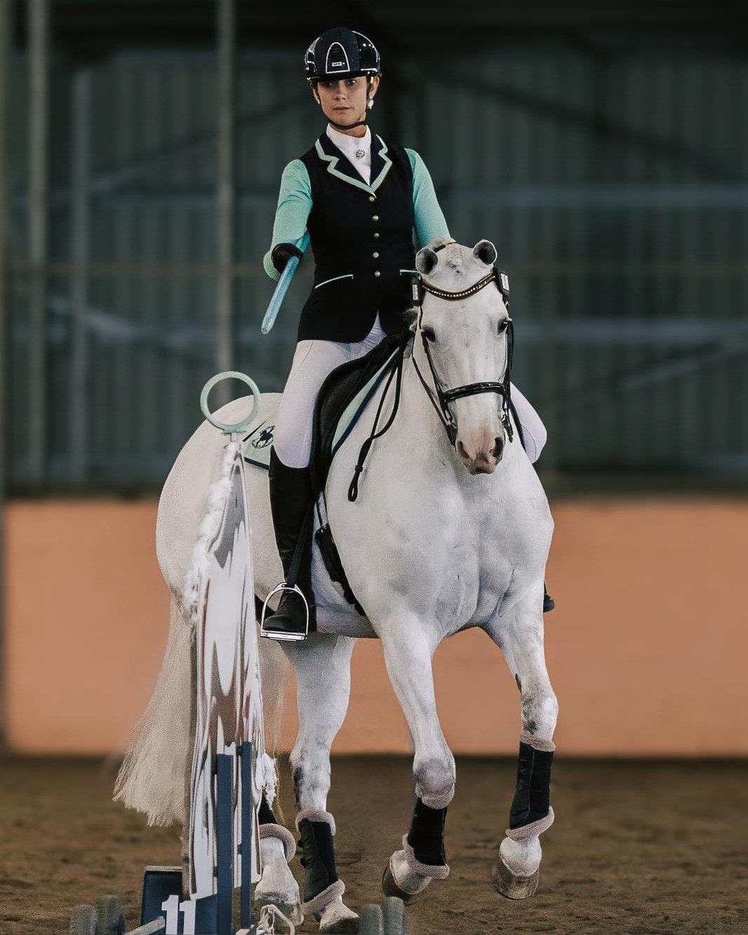 Tamara Patch reitet die Schimmelstute Arcstan Antoinette