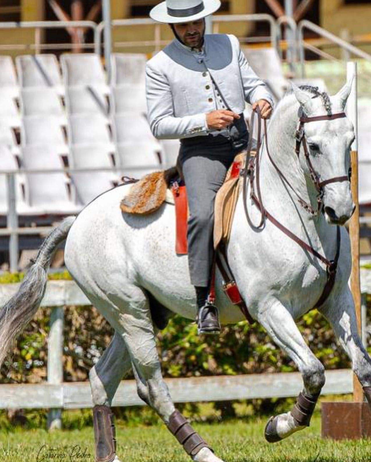 Ein Reiter in traditioneller portugiesischer Kleidung arbeitet einen Lusitano