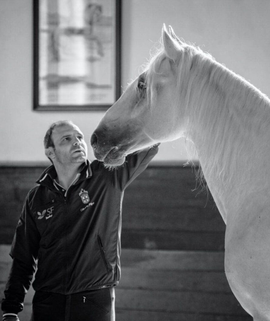 Ein Fellow des College auf seinem Lusitano