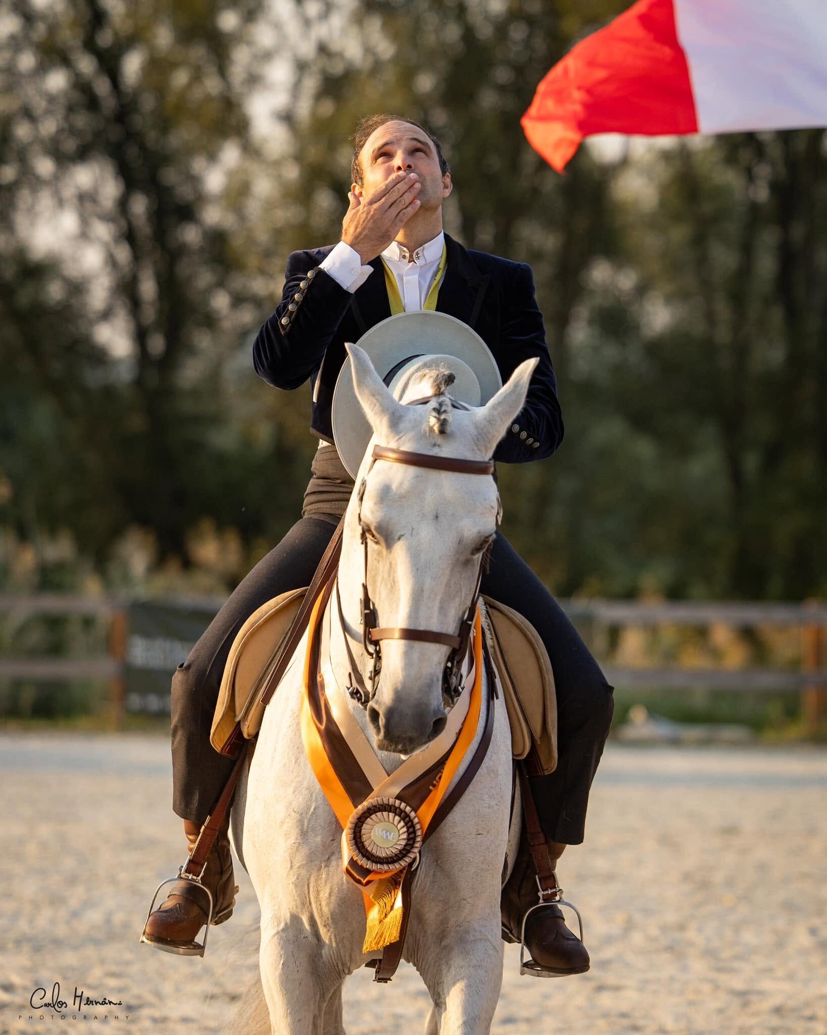 A Fellow of Alvará on a Lusitano