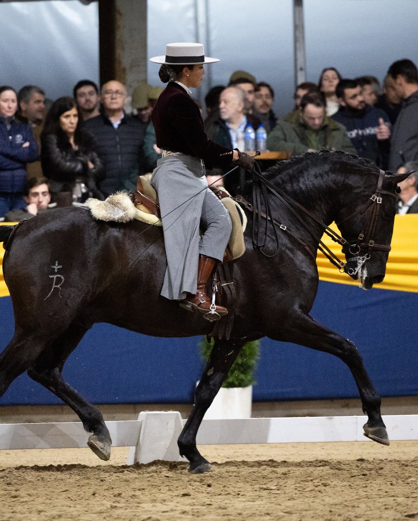A rider of the Residency