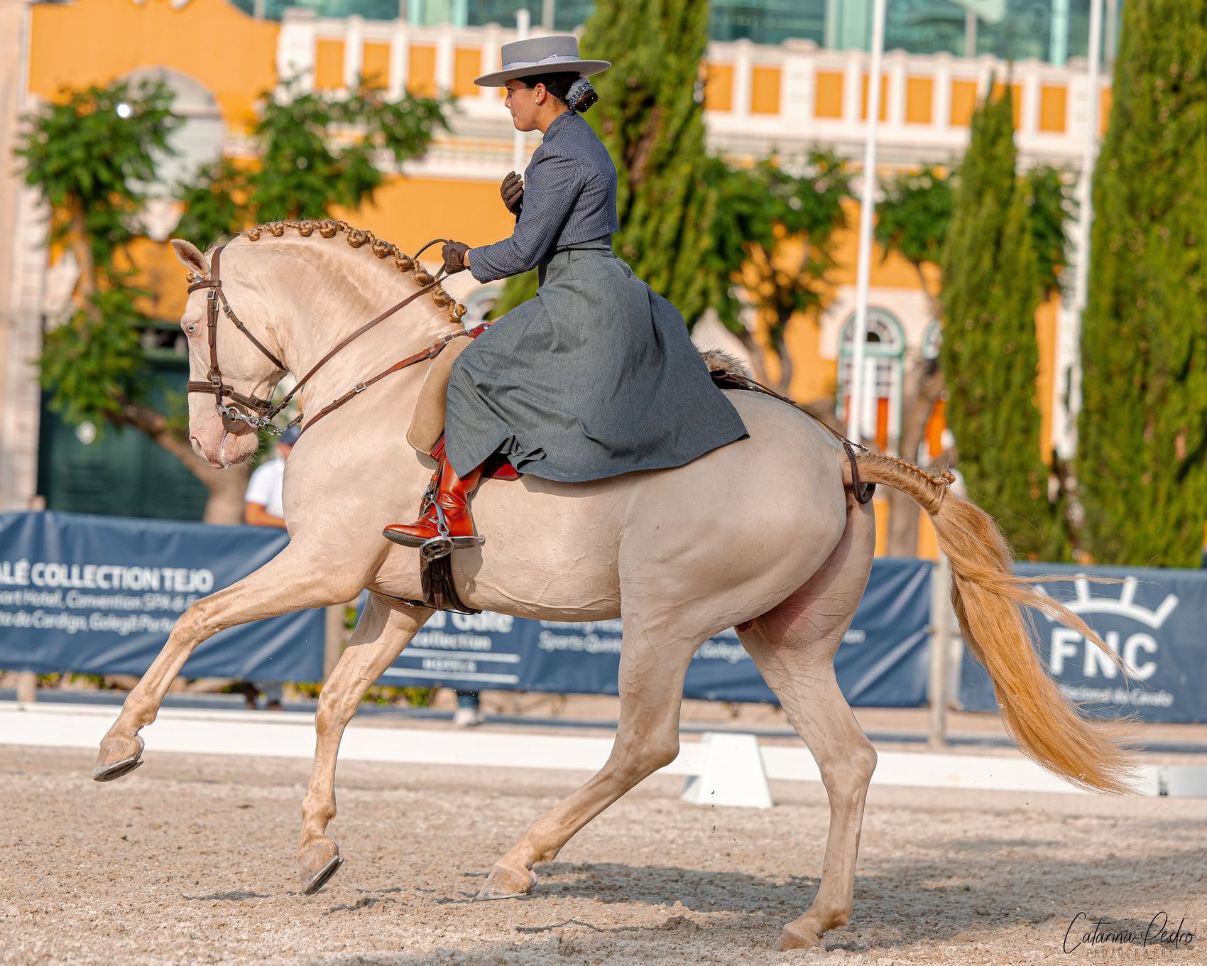Ein auf Masters-Niveau gearbeitetes Pferd