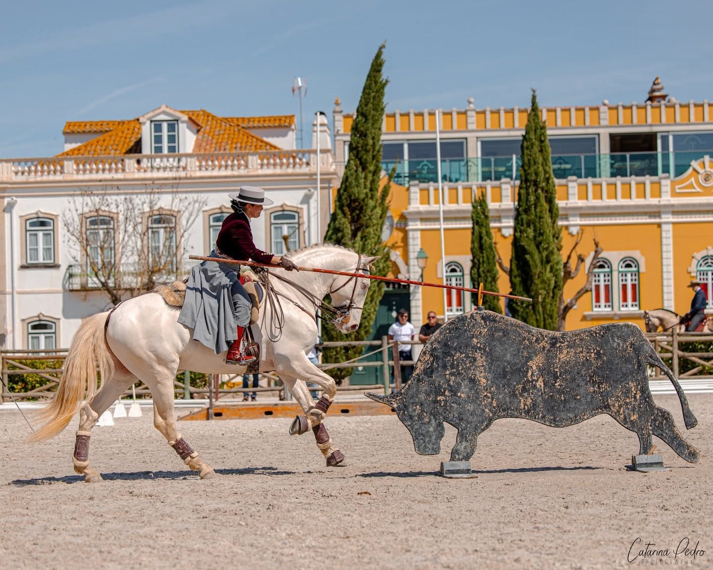 Ein Working-Equitation-Reiter in traditioneller portugiesischer Kleidung auf einem Lusitano, mit einer Garrocha auf eine Stierfigur in Golegã zureitend